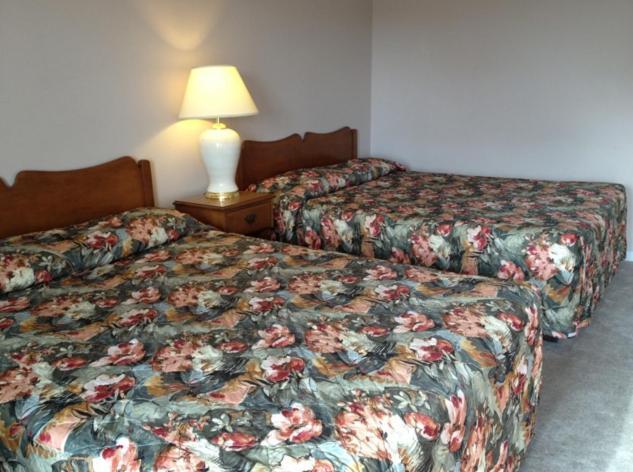 Lotus Motel コバーグ エクステリア 写真
